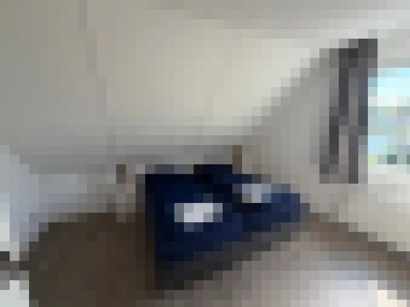 Hommelweg 2 R 523 Susteren thumbnail 15