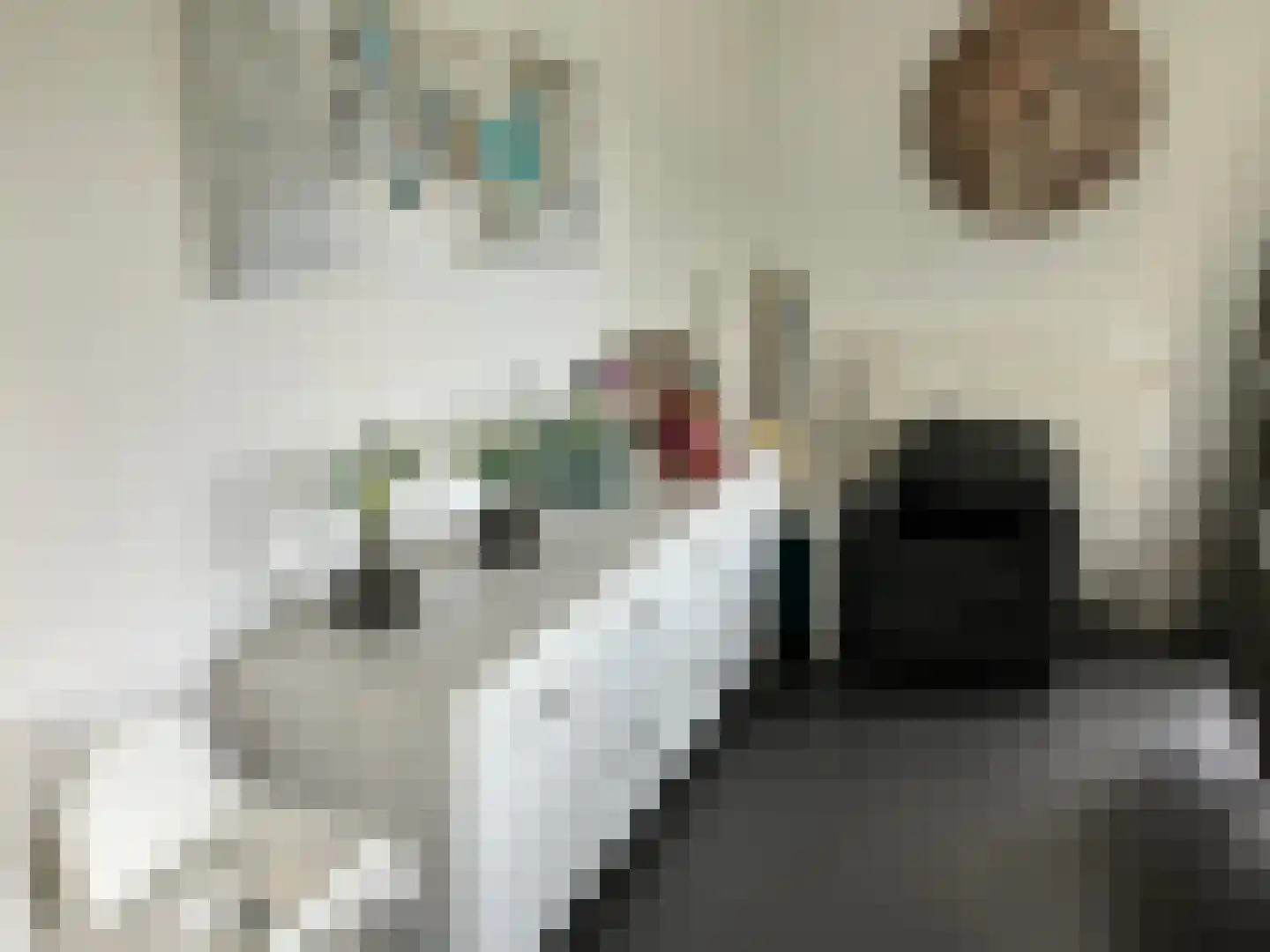 Hommelweg 2 R 523 Susteren thumbnail 19