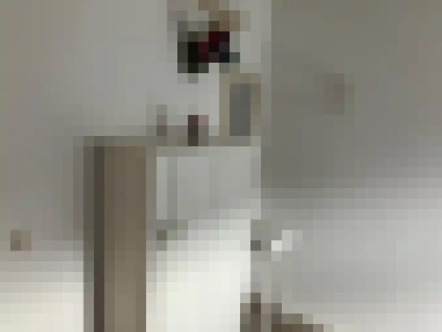 Hommelweg 2 R 523 Susteren thumbnail 24