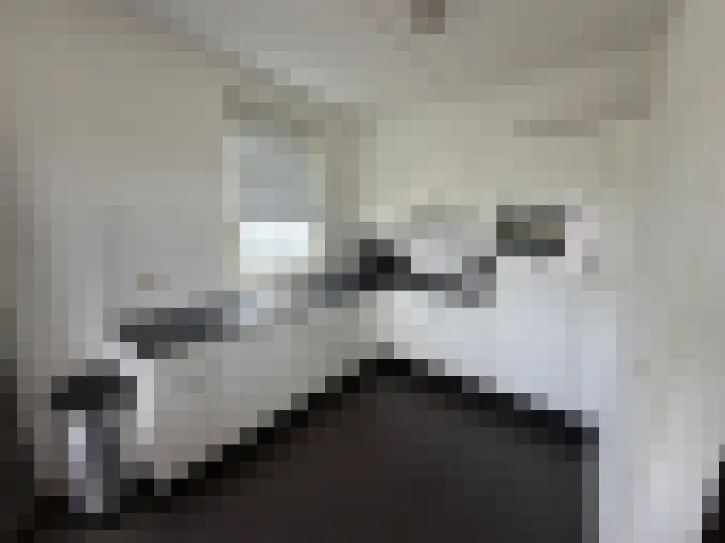 Hommelweg 2 R 523 Susteren thumbnail 6