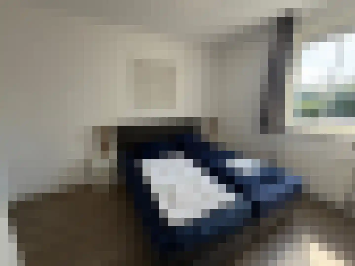 Hommelweg 2 R 523 Susteren thumbnail 7