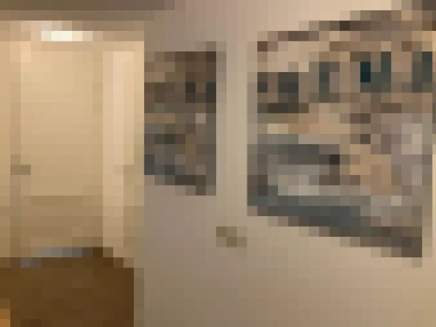 Hommelweg 2 R 523 Susteren thumbnail 7