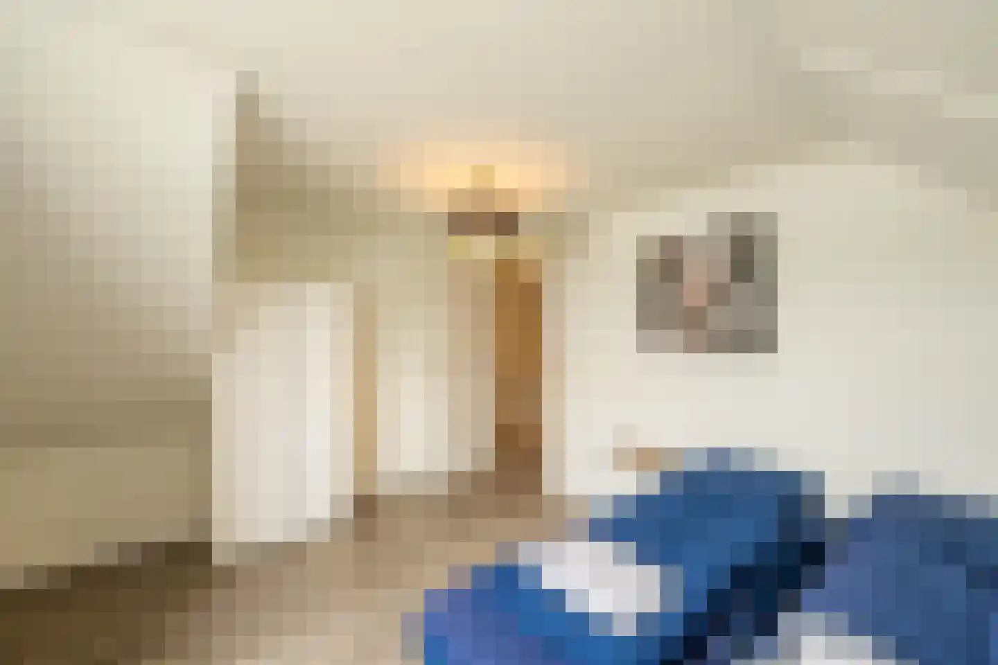 Hommelweg 2 R 530 Susteren thumbnail 24