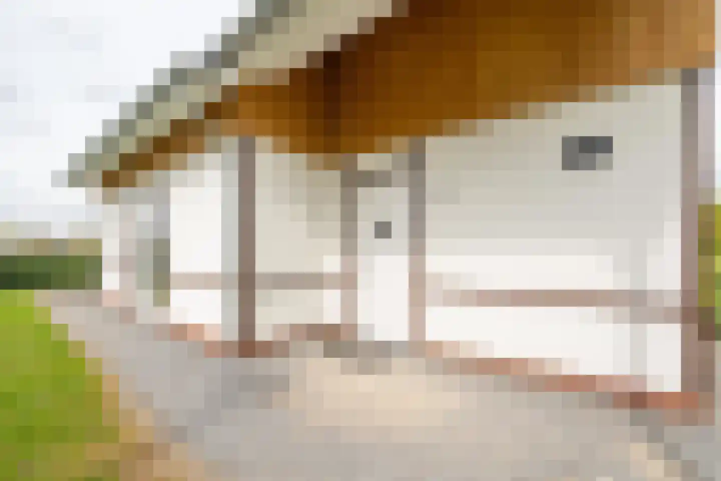 Hommelweg 2 R 530 Susteren thumbnail 5
