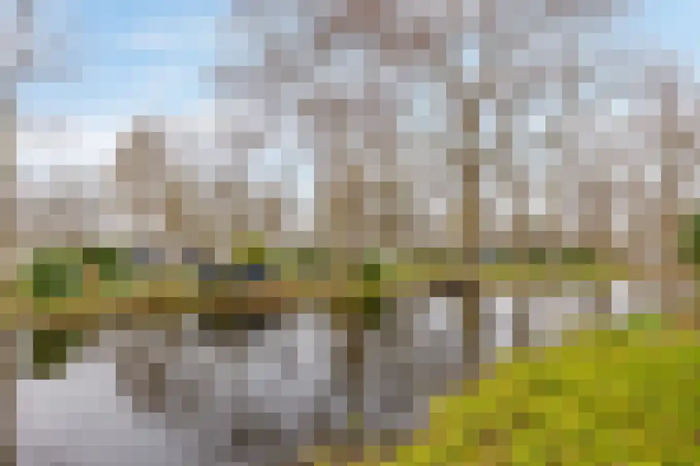 Hommelweg 2 R 619 Susteren thumbnail 27