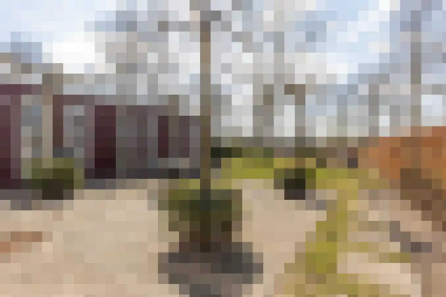 Hommelweg 2 R 631 Susteren thumbnail 13