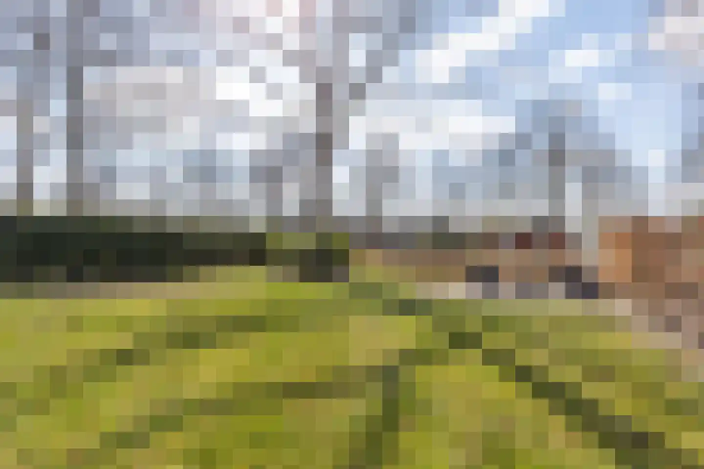 Hommelweg 2 R 631 Susteren thumbnail 28