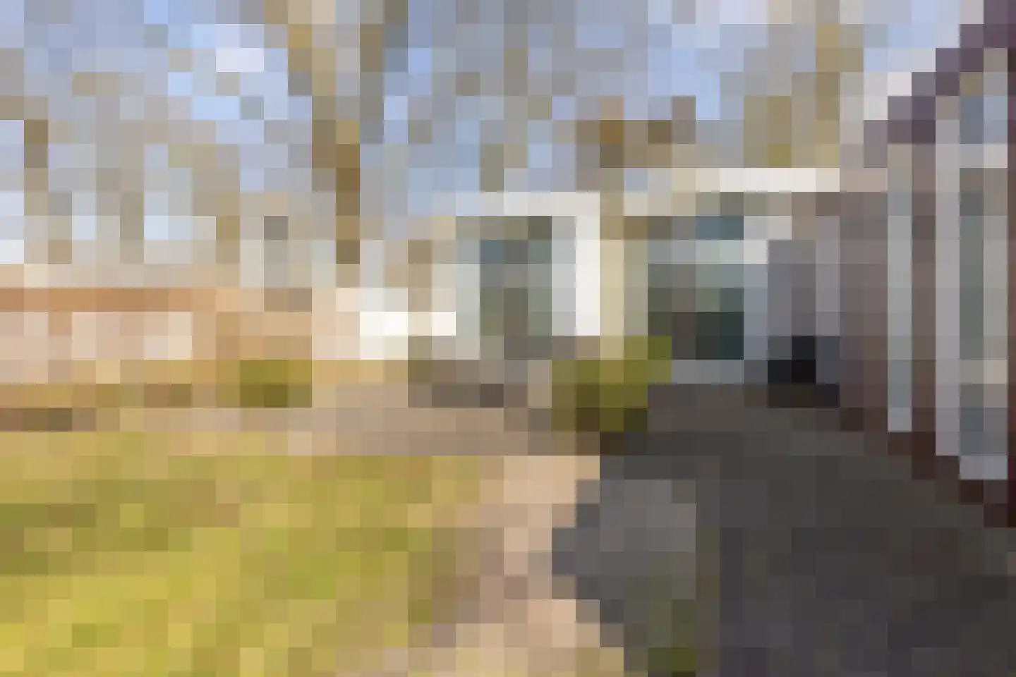 Hommelweg 2 R 631 Susteren thumbnail 32