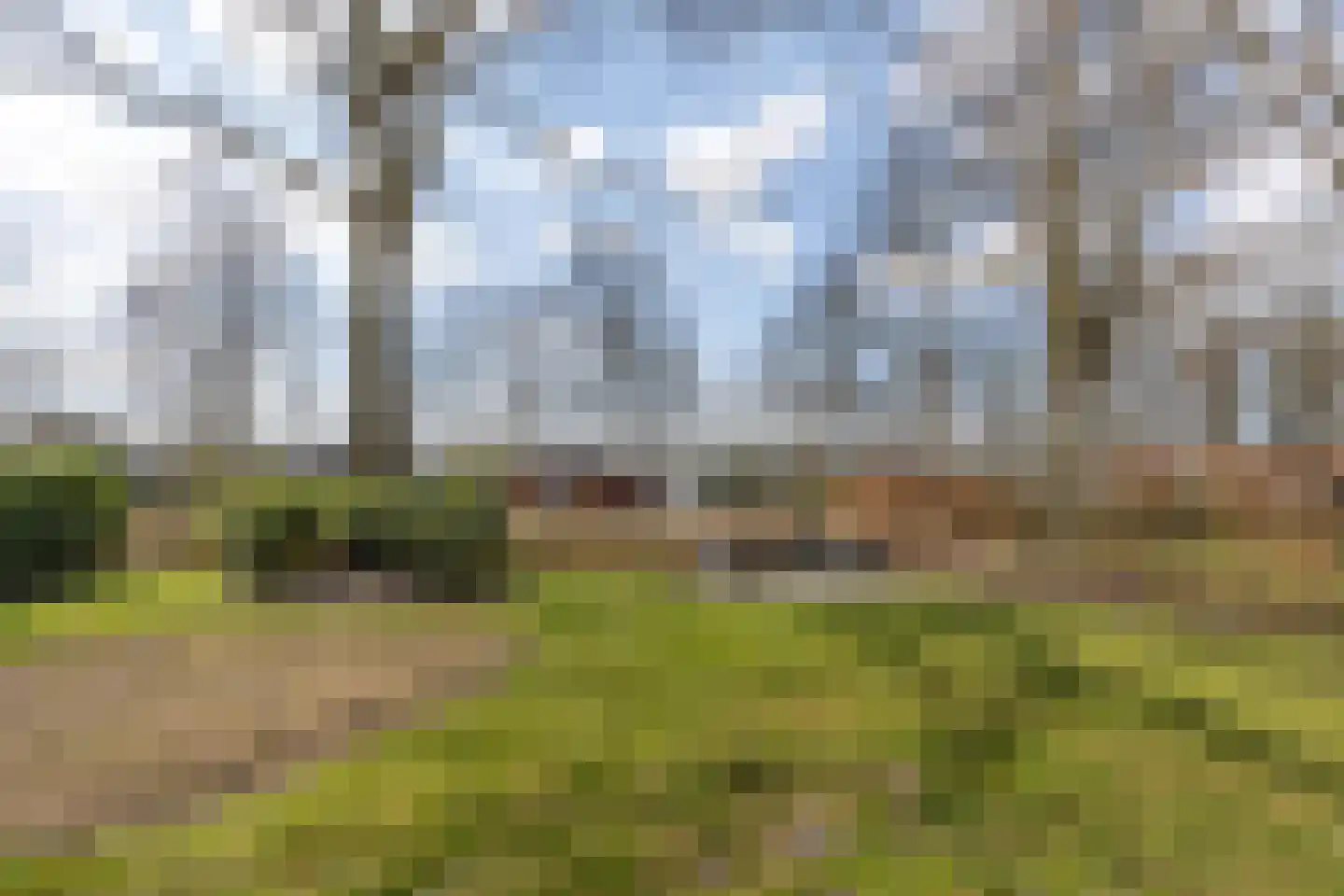 Hommelweg 2 R 631 Susteren thumbnail 5