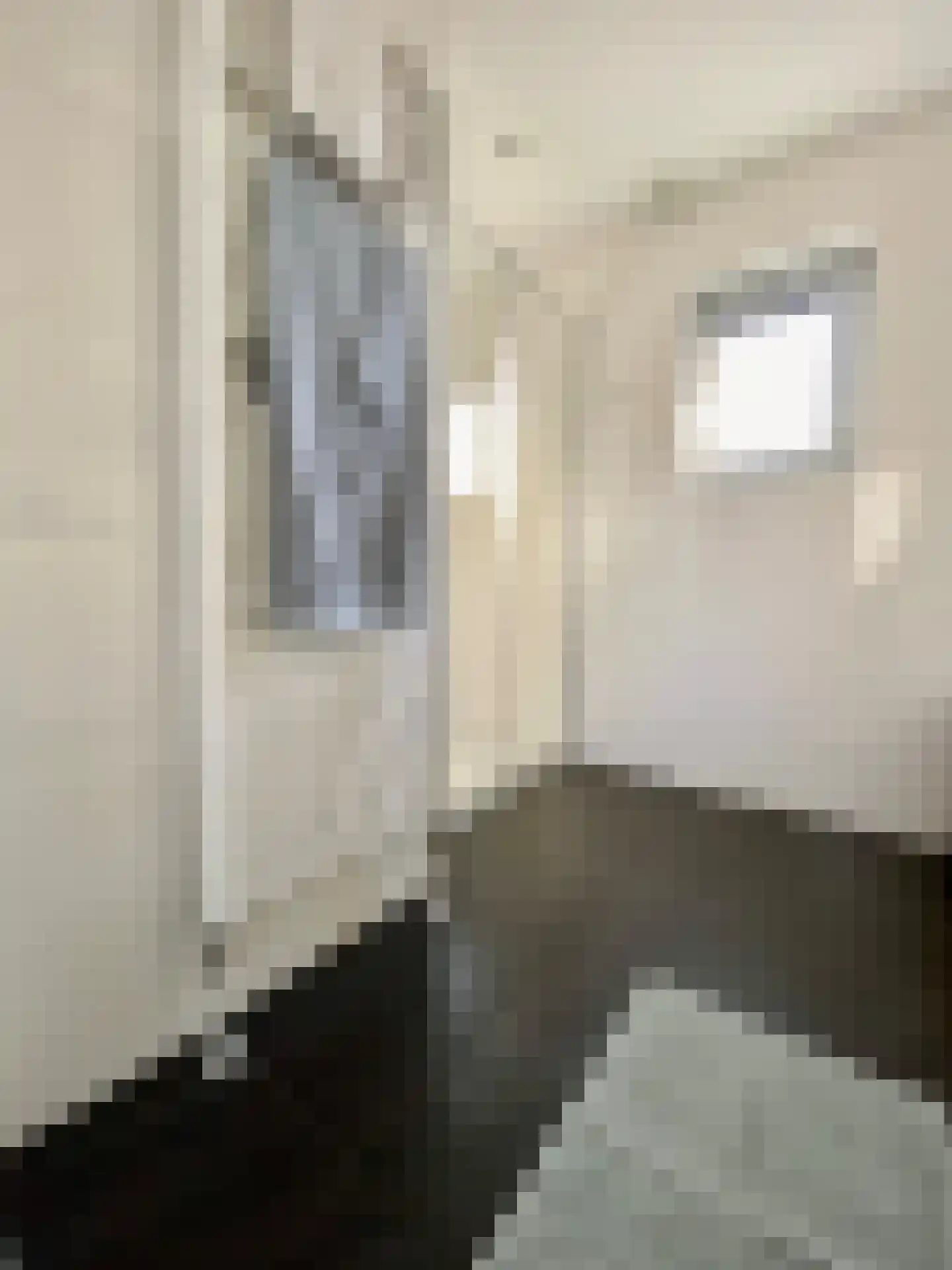 Hommelweg 2 R 636 Susteren thumbnail 10