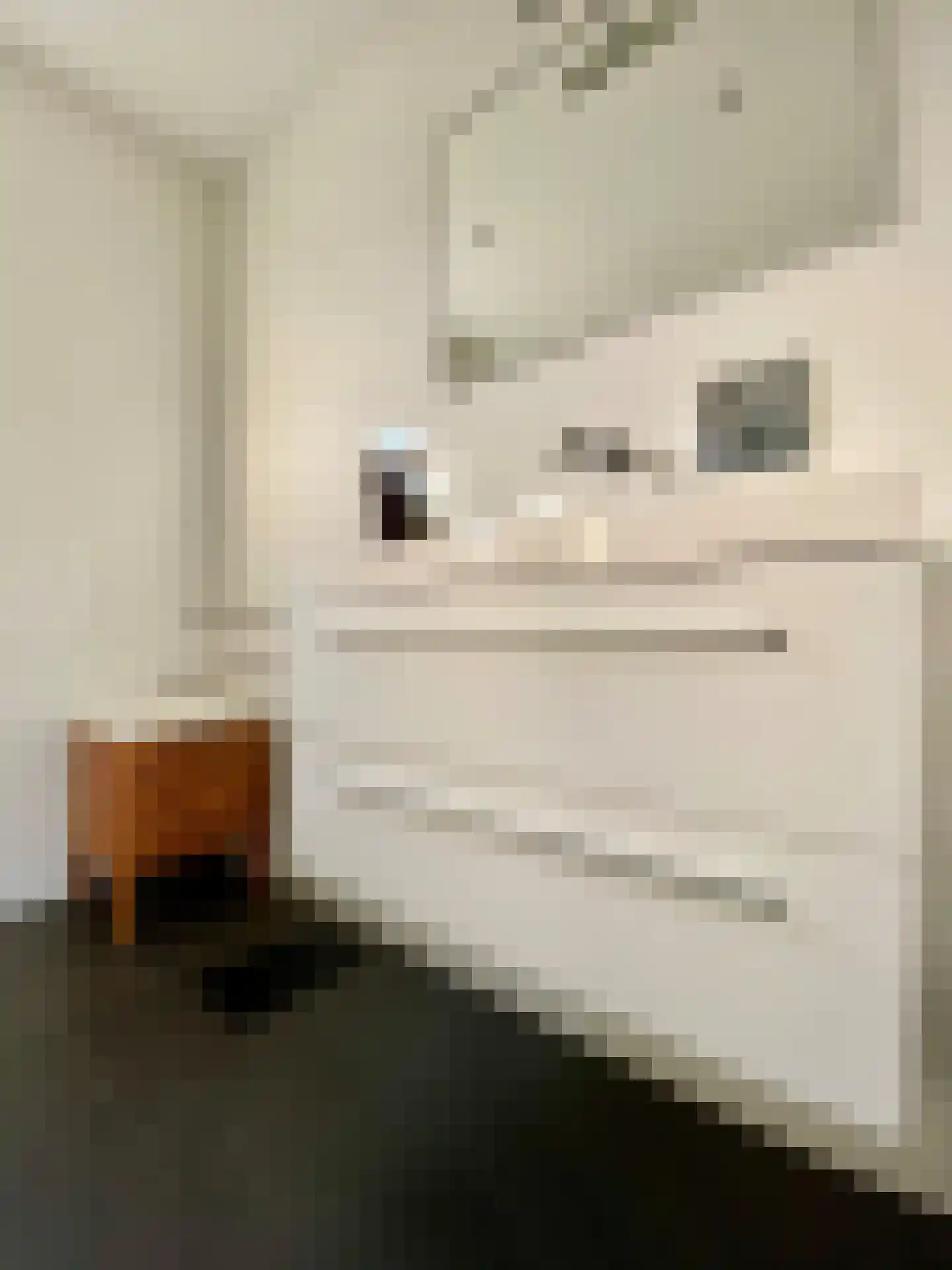Hommelweg 2 R 636 Susteren thumbnail 11