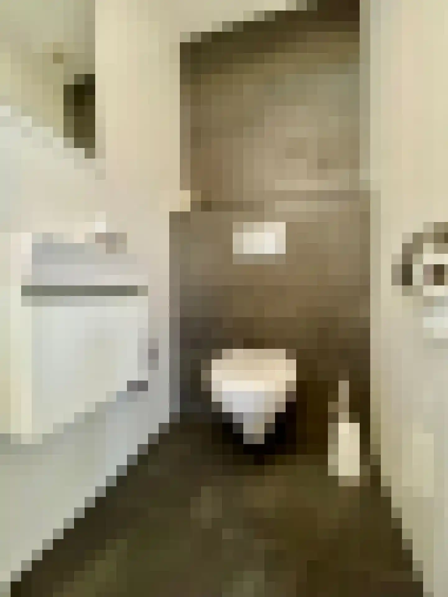 Hommelweg 2 R 636 Susteren thumbnail 13