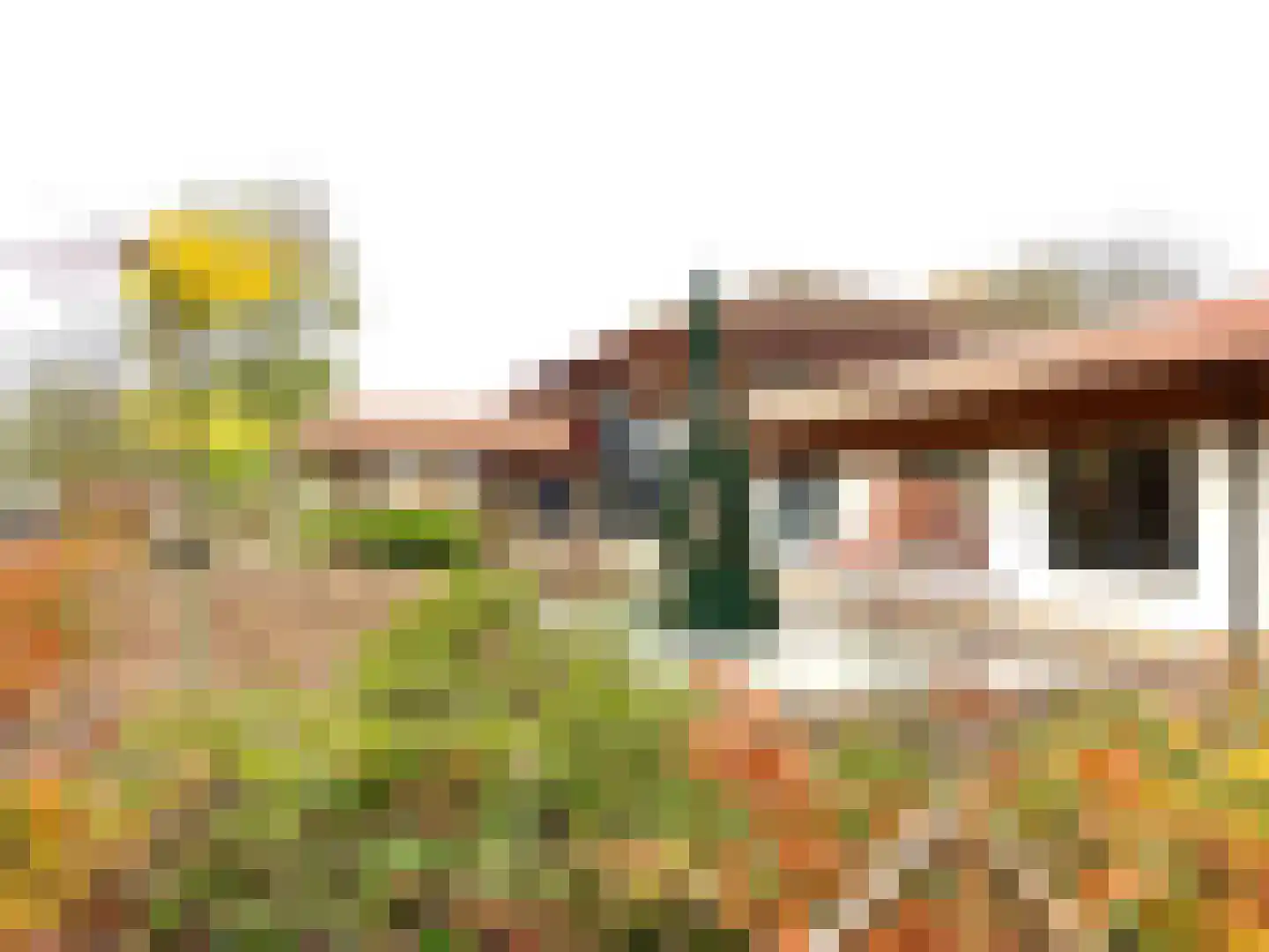 Hommelweg 2 R 636 Susteren thumbnail 31