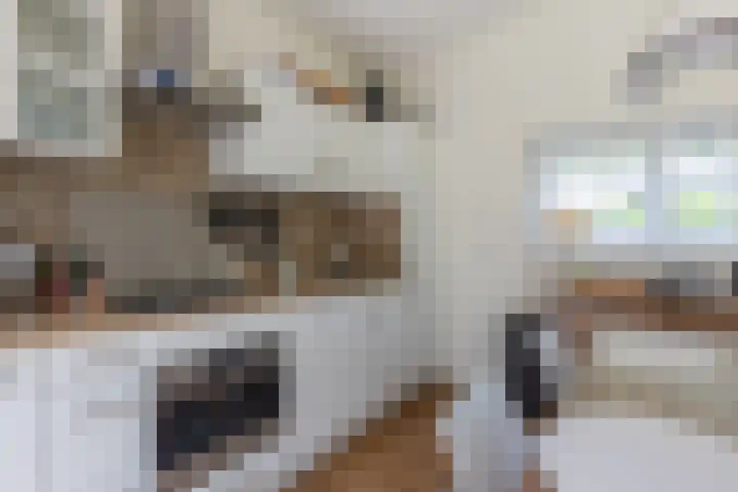 Hommelweg 2 R 645 Susteren thumbnail 28