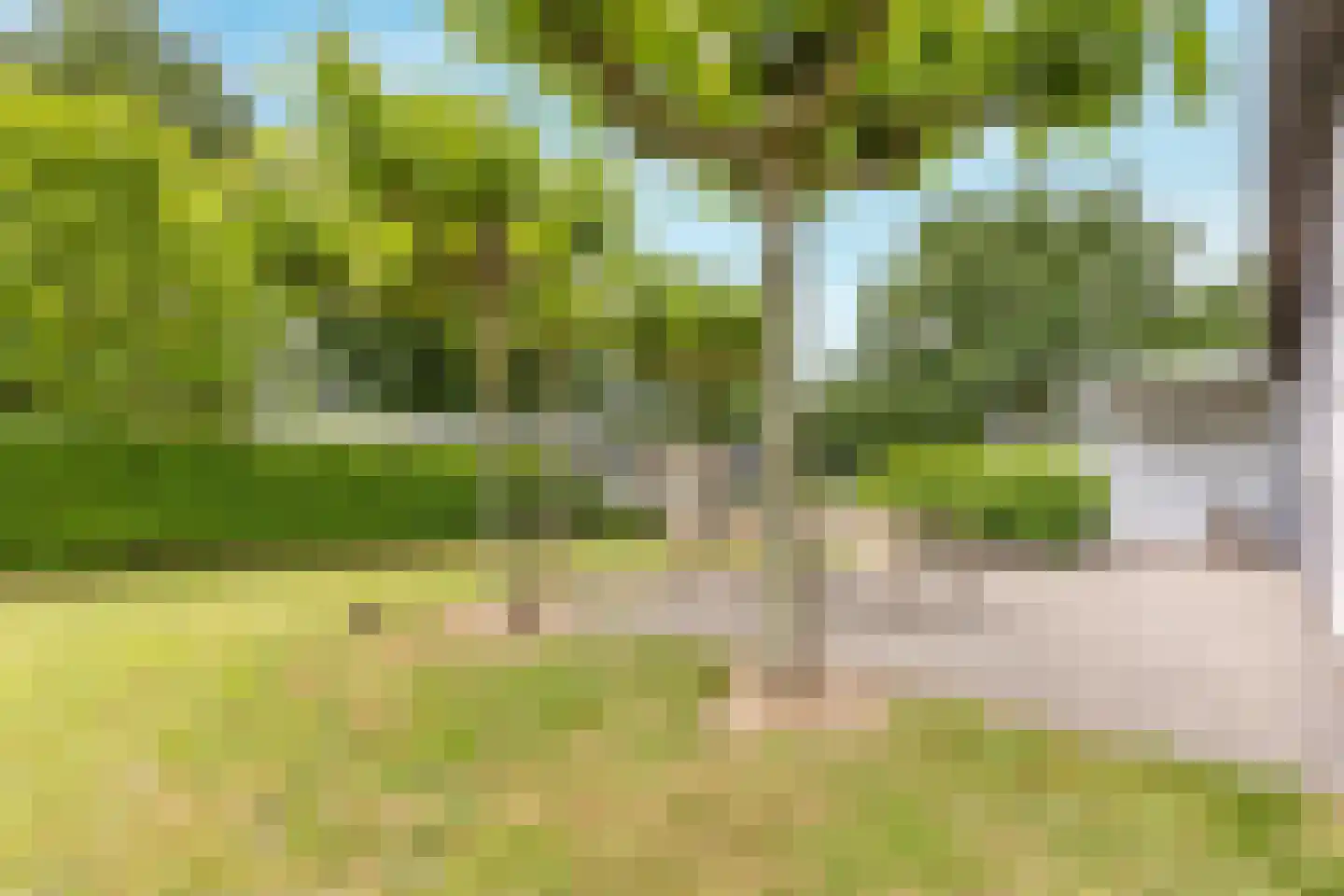 Hommelweg 2 R 645 Susteren thumbnail 9