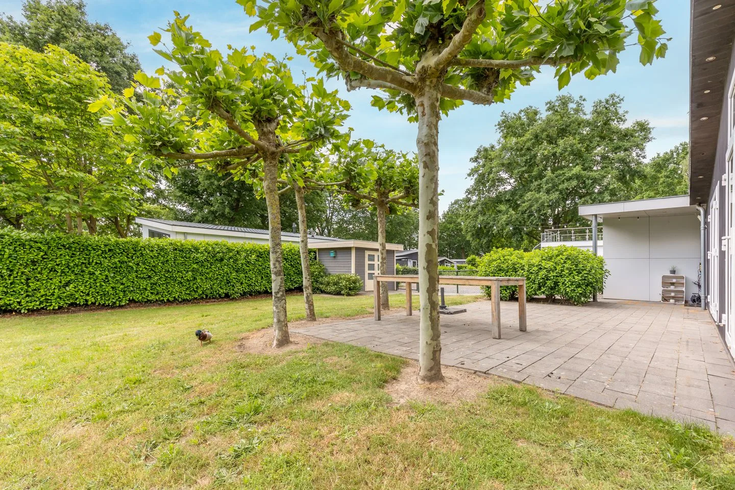 Hommelweg 2 R 645 Susteren thumbnail 9