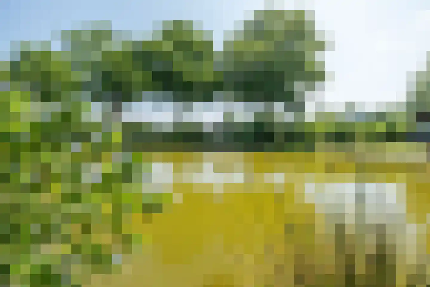 Hommelweg 2 R 647 Susteren thumbnail 18