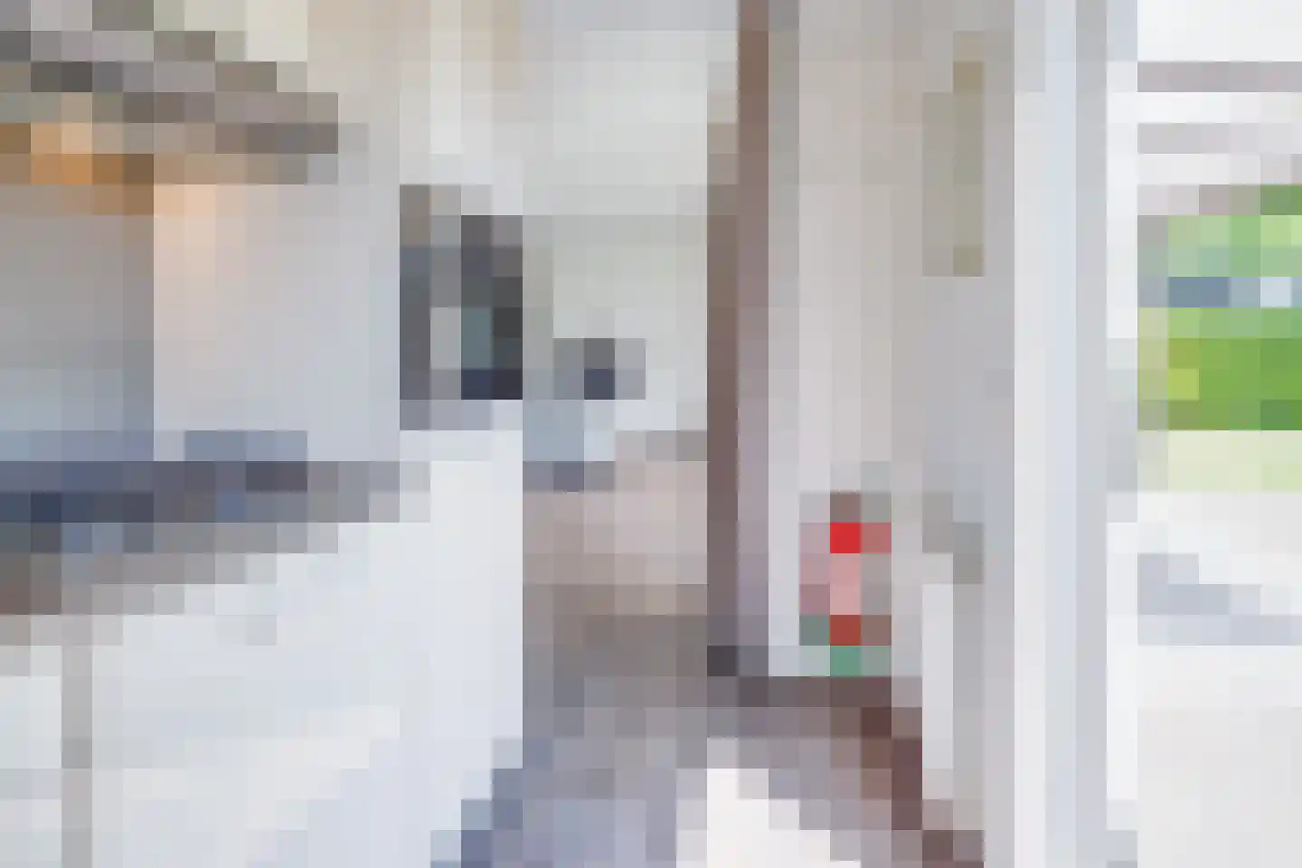 Hommelweg 2 R 647 Susteren thumbnail 9