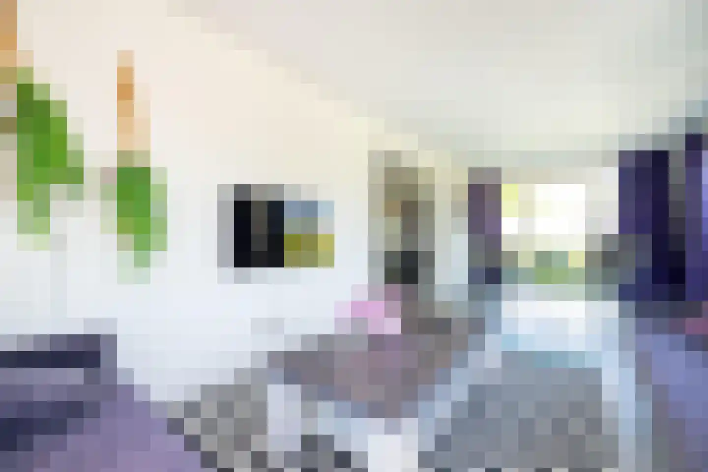 Hommelweg 2 R 652 Susteren thumbnail 10