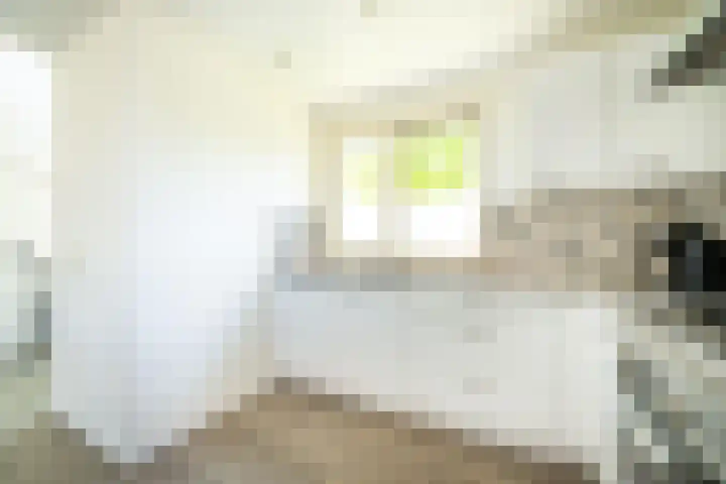 Hommelweg 2 R 652 Susteren thumbnail 14