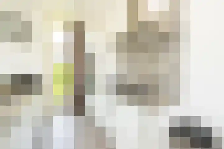 Hommelweg 2 R 657 Susteren thumbnail 12