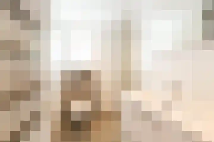 Hommelweg 2 R 657 Susteren thumbnail 21