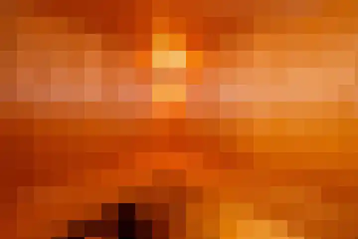 Hommelweg 2 R 657 Susteren thumbnail 27