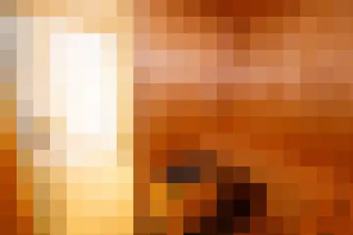 Hommelweg 2 R 657 Susteren thumbnail 28