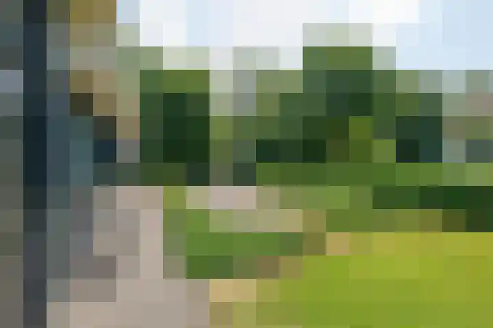 Hommelweg 2 R 657 Susteren thumbnail 31