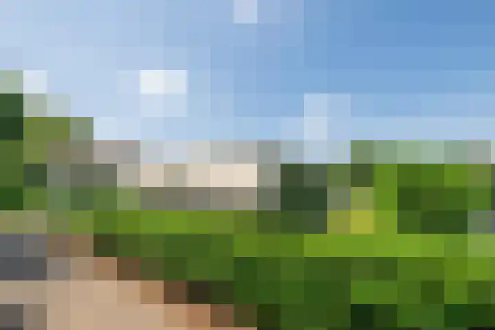 Hommelweg 2 R 657 Susteren thumbnail 33