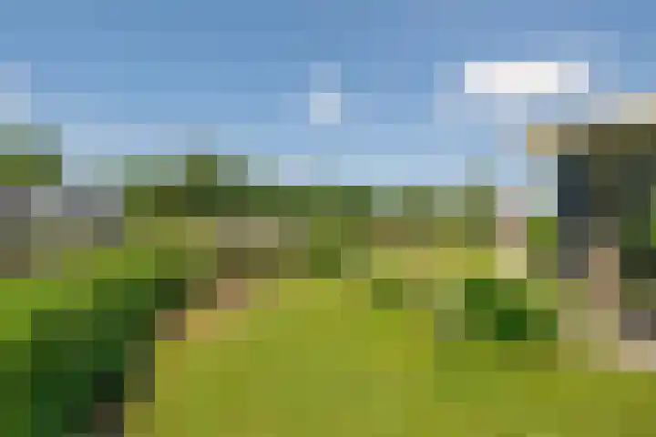 Hommelweg 2 R 657 Susteren thumbnail 4