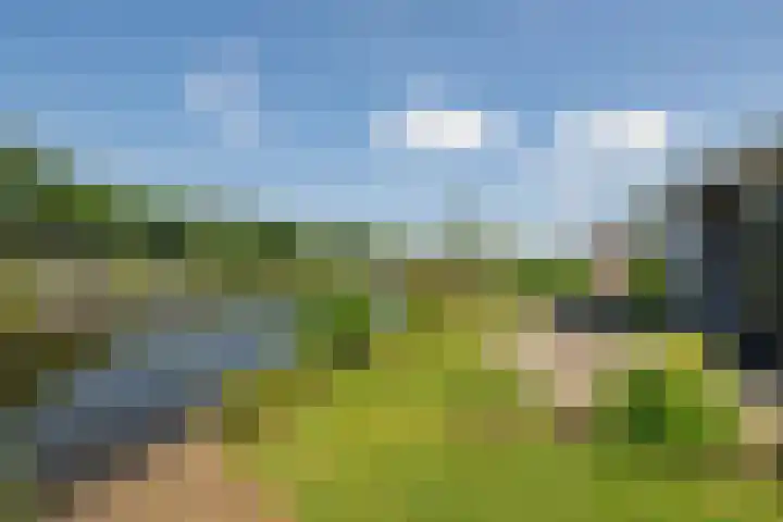 Hommelweg 2 R 657 Susteren thumbnail 5