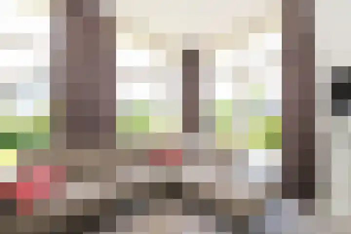 Hommelweg 2 R 657 Susteren thumbnail 9