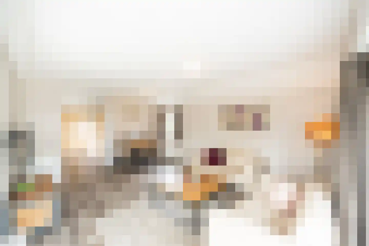 Hommelweg 2 R 664 Susteren thumbnail 14