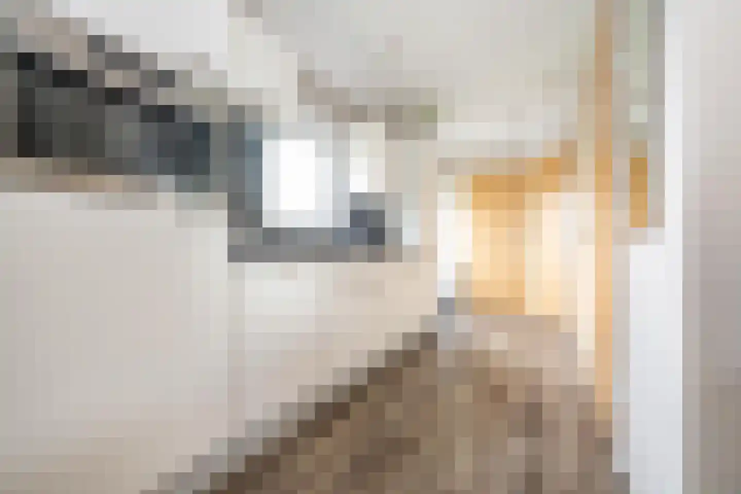 Hommelweg 2 R 664 Susteren thumbnail 16