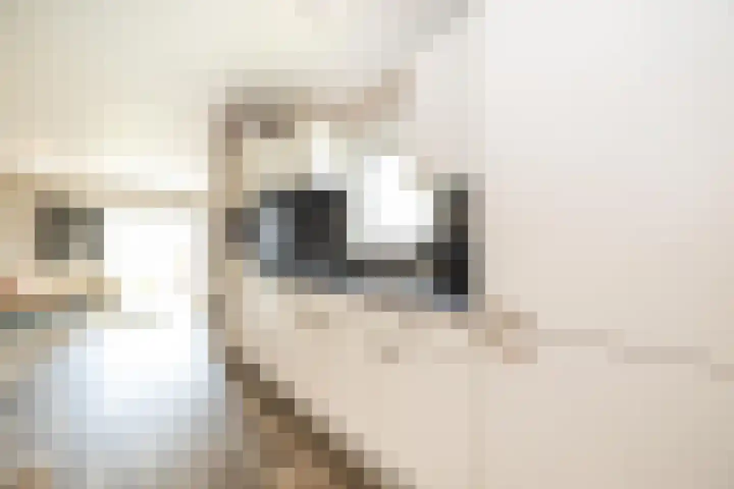 Hommelweg 2 R 664 Susteren thumbnail 17