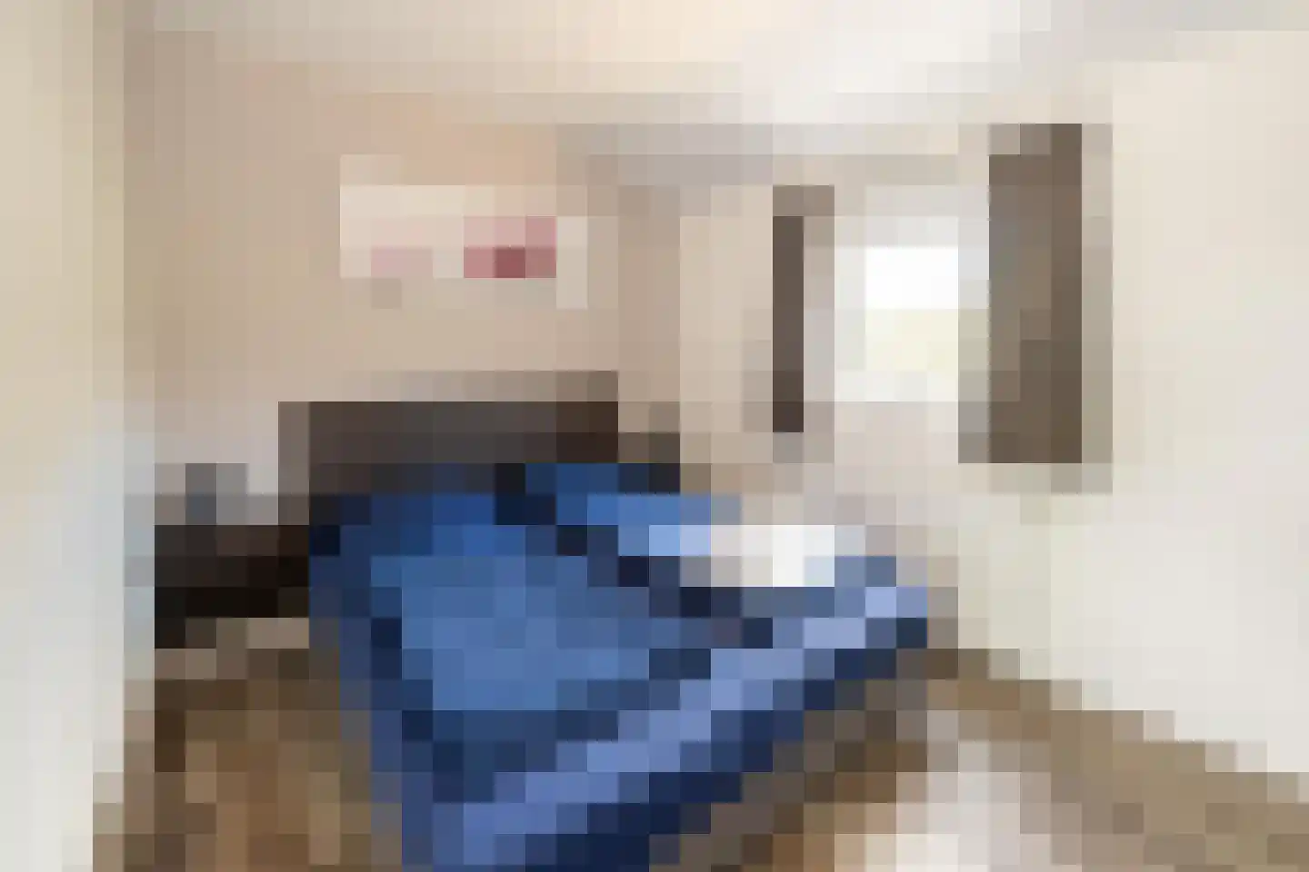 Hommelweg 2 R 664 Susteren thumbnail 19