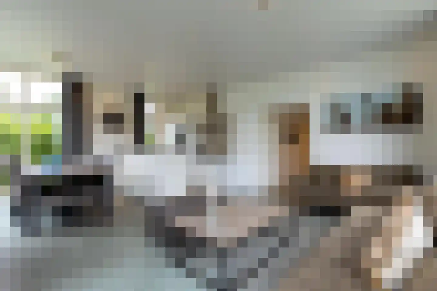Hommelweg 2 R 668 Susteren thumbnail 13