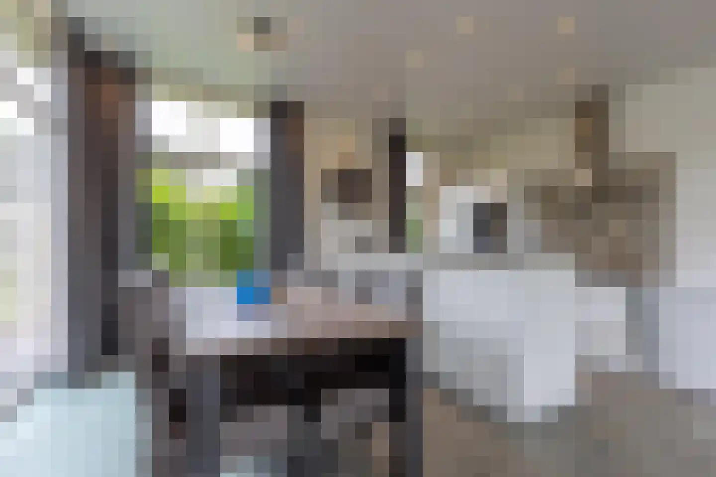 Hommelweg 2 R 668 Susteren thumbnail 14