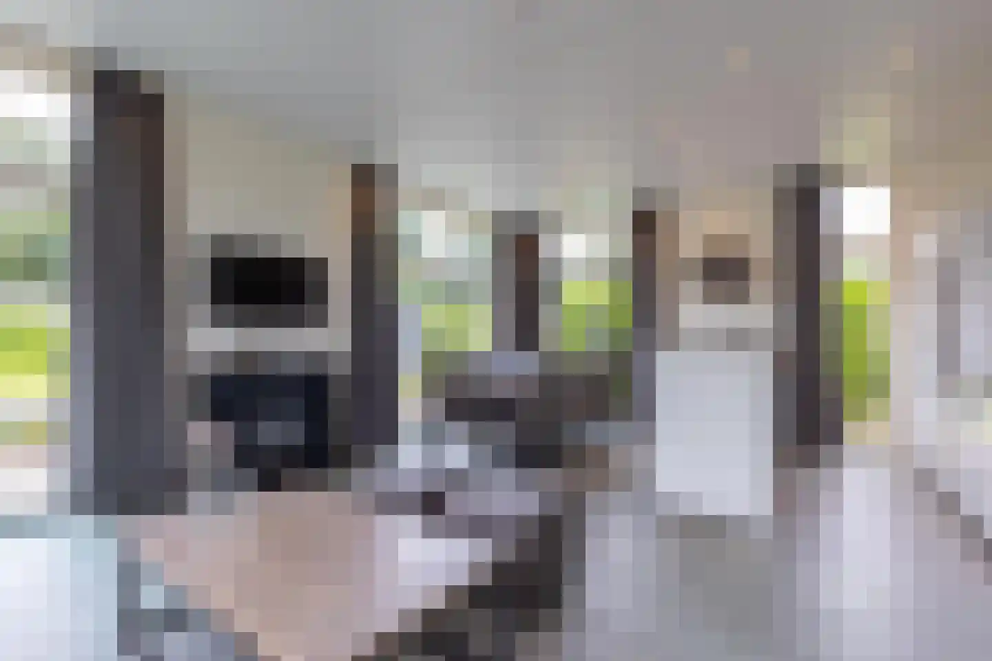 Hommelweg 2 R 668 Susteren thumbnail 8