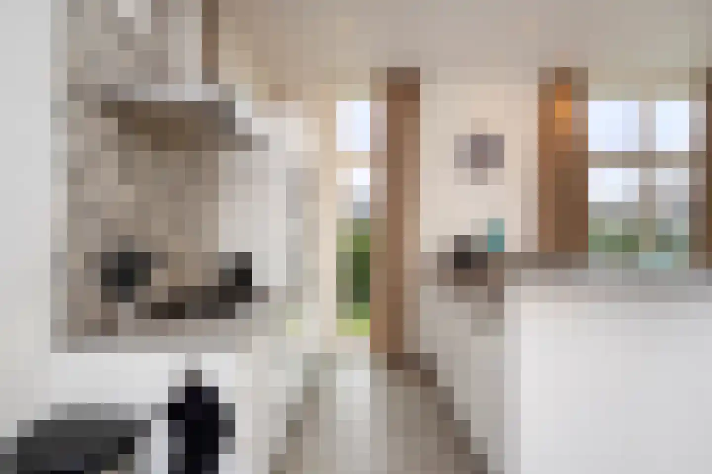 Hommelweg 2 R 675 Susteren thumbnail 15