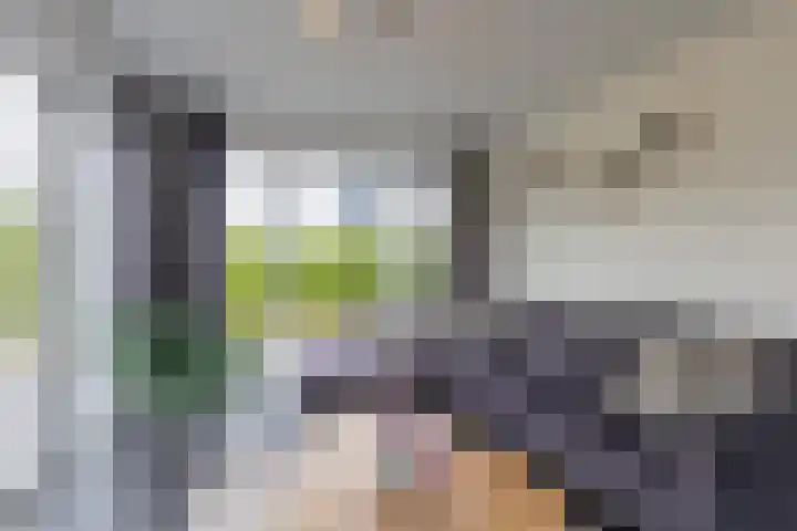 Hommelweg 2 R 677 Susteren thumbnail 13