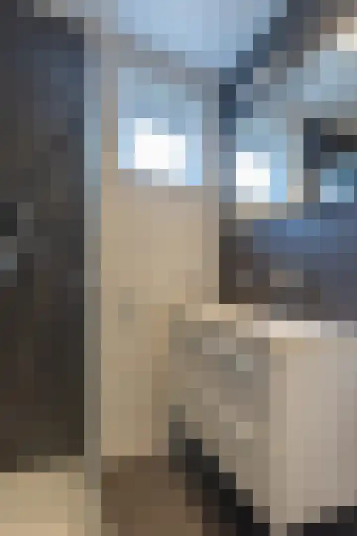 Hommelweg 2 R 677 Susteren thumbnail 23
