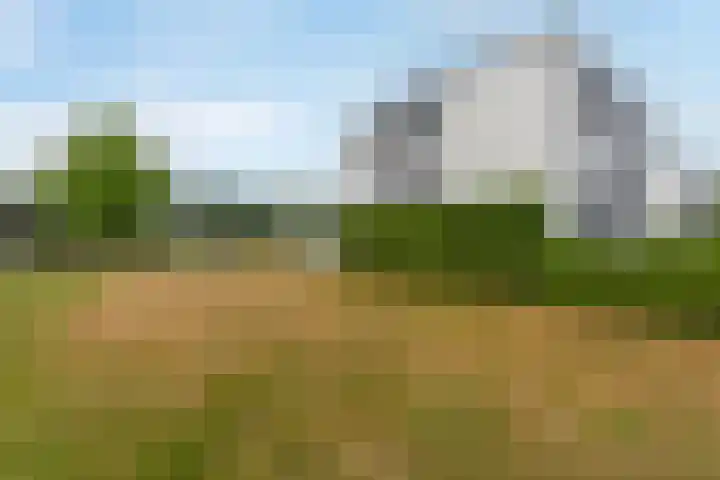 Hommelweg 2 R 677 Susteren thumbnail 25