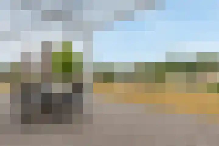 Hommelweg 2 R 677 Susteren thumbnail 26