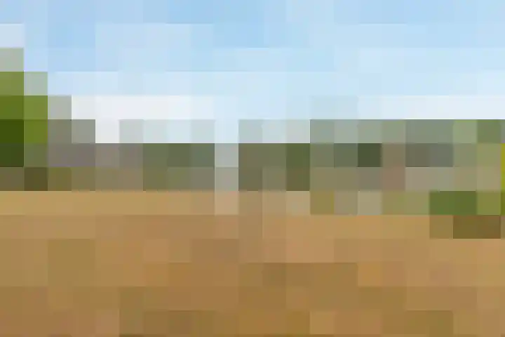 Hommelweg 2 R 677 Susteren thumbnail 27