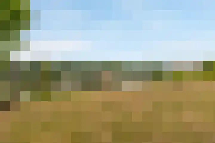 Hommelweg 2 R 677 Susteren thumbnail 28