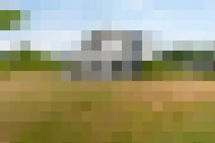Hommelweg 2 R 677 Susteren thumbnail 29