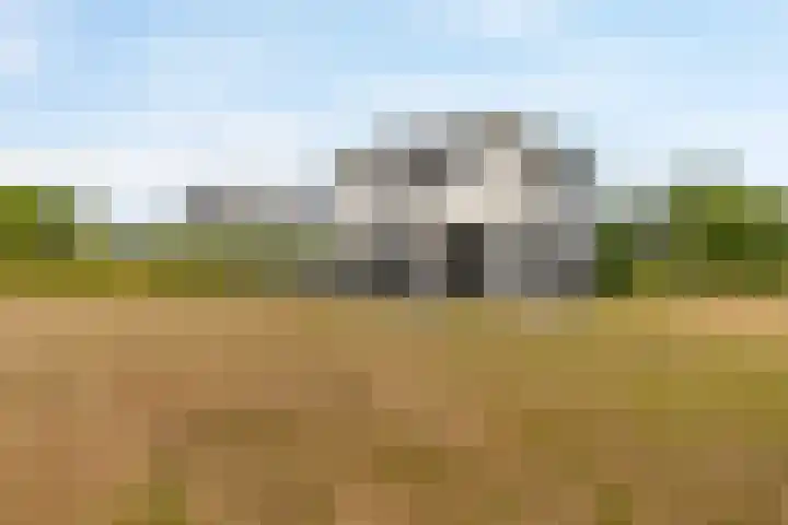 Hommelweg 2 R 677 Susteren thumbnail 30