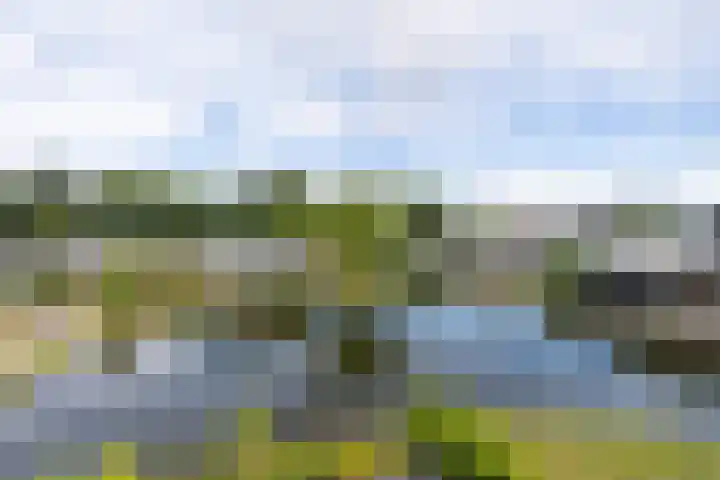 Hommelweg 2 R 677 Susteren thumbnail 39